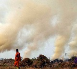 Consider arrests, strict action to curb stubble burning: SC to govt