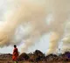 Consider arrests, strict action to curb stubble burning: SC to govt