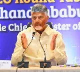 Chandrababu Naidu Says No One Can Compete With AP in Speed of Business