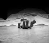 Tragedy in Hyderabad Newly Married Woman Ends Life
