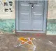 Black magic at Ganeshpadu primary school sparks fear