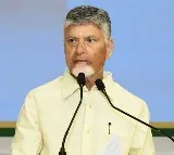 Chandrababu Naidu Deeply Shocked by Nellore District Road Accident