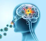 Kerala Brain Eating Amoeba What You Need to Know