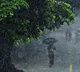 Heavy Rains Expected in AP IMD Issues Thunderstorm Warning