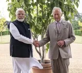 King Charles gifts Kadamb tree to PM Modi on 75th birthday