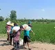 Udta Punjab no more! Youth high on spirit of 'sewa', 'Chardi Kala' helping in survival, revival of flood-ravaged state