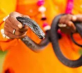 Venkatesh bit snake head after snake bite in Tirupati district