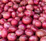 Chandrababu Naidu Government Supports Onion Farmers in Andhra Pradesh