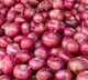 Chandrababu Naidu Government Supports Onion Farmers in Andhra Pradesh