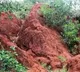 A look at India’s 7 natural heritage locations, picked up as UNESCO’s world heritage sites