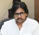 Pawan Kalyan to Inspect Damaged Coconut Farms