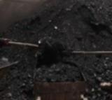 GST 2.0 gives booster shot to coal sector