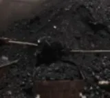 GST 2.0 gives booster shot to coal sector