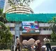 Stock market ends lower after volatile session amid IT selloff, H-1B visa concerns