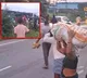 Coconut Load Truck Accident in Suryapet Locals Loot Coconuts
