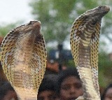 Kanpur woman attacked with snake over dowry demand