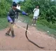 King Cobra Creates Stir at Raivada Canal in Anakapalli District