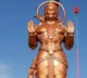 Republican Leader Alexander Duncans Remark On Hanuman Statue In US Sparks Row