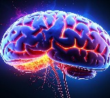 Bacteria in your mouth may trigger Parkinson's disease risk: Study