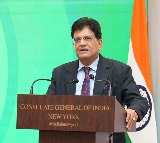 In New York, Piyush Goyal calls for expanding India-US energy trade