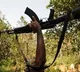 Maoists Top Leadership Targeted Forces from Kashmir to Forest