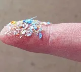 Microplastics Found in Bones Study Reveals