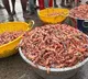 India moves closer to global certification for 10 fish species