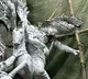 Hindu community in Bangladesh demands year-round protection amid attacks on temples