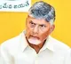 Chandrababu Naidu Angered by MLAs Behavior Damaging Government Reputation