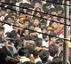 Karur stampede: TN BJP chief demands SC probe, slams DMK govt over 'lapses'