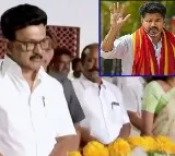 Vijay Karur Stampede CM Stalin Comments on Arrest