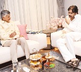 Pawan Kalyan Visited by Chandrababu Naidu After Viral Fever