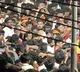 Vijays TVK Leaders Absconding After Karur Stampede Police Search On