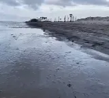 Antarvedi Sea Recedes Half Kilometer in Konaseema District