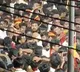 TN stampede: Two TVK leaders remanded to 14-day judicial custody