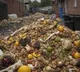 UNEP Report Reveals Shocking Food Waste Facts