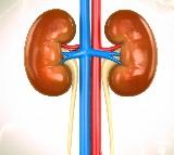 Young night shift workers more at risk of developing kidney stones: Study