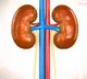 Young night shift workers more at risk of developing kidney stones: Study