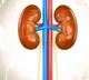 Young night shift workers more at risk of developing kidney stones Says Study