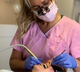 New stem cell studies find mechanism for regenerating lost teeth