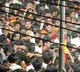 Action against Vijay only after Karur stampede probe report, says DMK