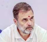 Ex-US official reacts to Rahul Gandhi, says leaders must prioritise Indian values