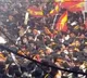 Madras HC refuses CBI probe into Vijay rally stampede, favours SOPs for political events