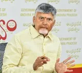 Chandrababu Naidu announces ex gratia for rain victims