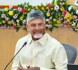Chandrababu Naidu on Incharge Ministers Controlling MLAs
