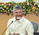 Chandrababu Naidu on Incharge Ministers Controlling MLAs