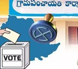 Telangana Local Body Elections Who is Ineligible to Contest