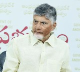 Chandrababu Naidu Orders Strict Action on Mulakala Cheruvu Fake Liquor Incident