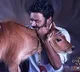 Idli Kadai's success: Dhanush celebrates by offering prayers at ancestral temple; treating those from his village to a feast
