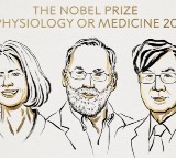 US, Japanese scientists awarded 2025 Nobel Prize for Medicine for discovery on immune system